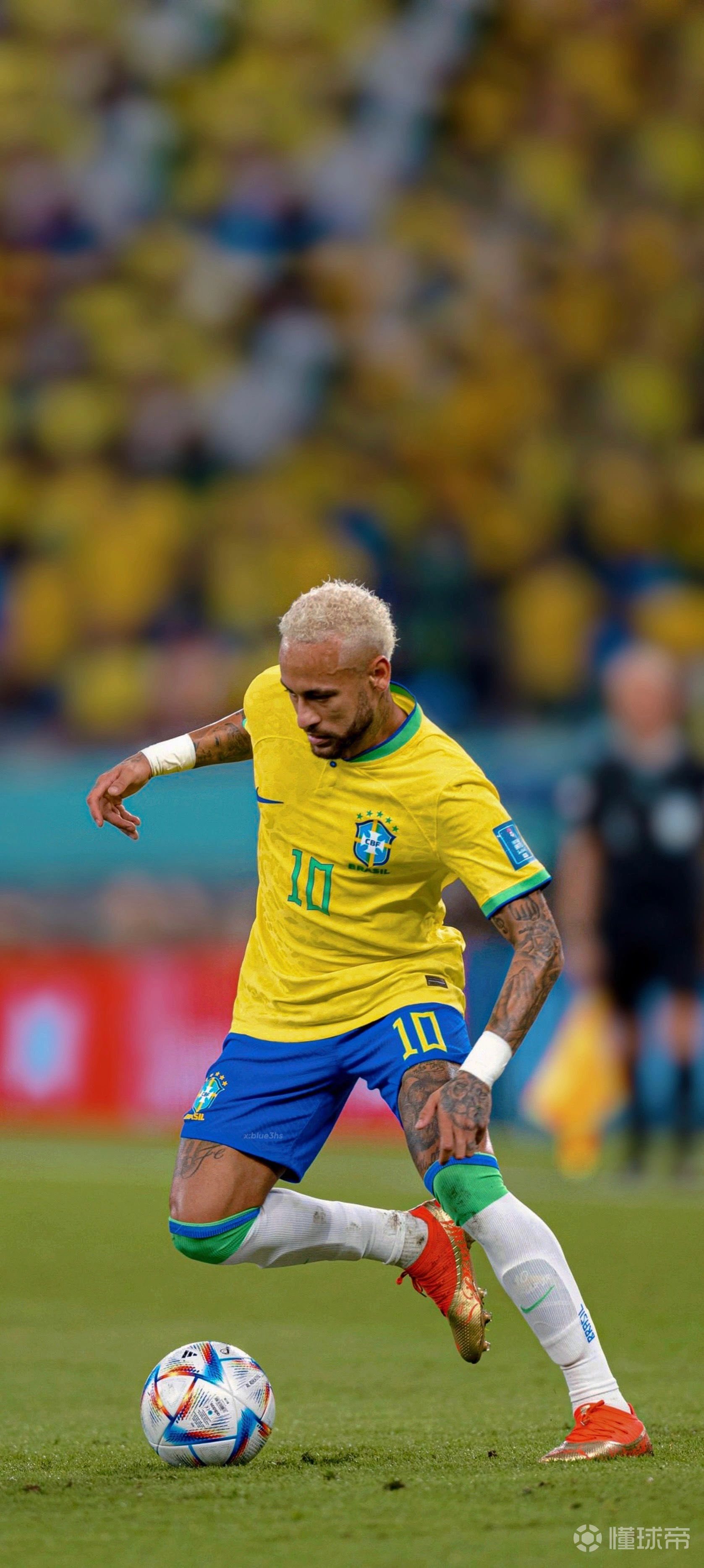 也不应被低 也不应被低