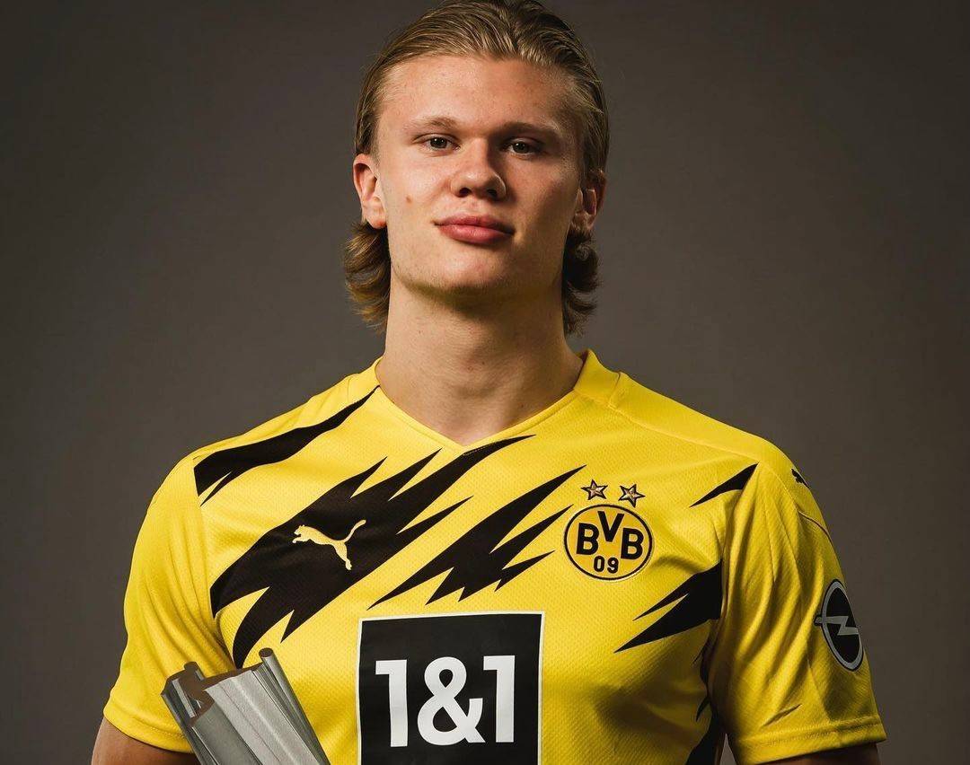 生态集中与 生态集中与